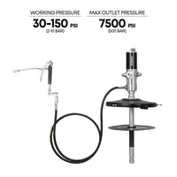 PROLUBE Air Operated 50:1 Ratio Grease Pump, 1/4" NPT Threads