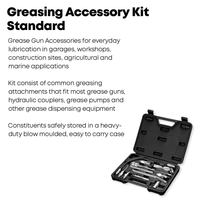 PROLUBE 11 piece Standard Greasing Accessory Kit, Quick Connect
